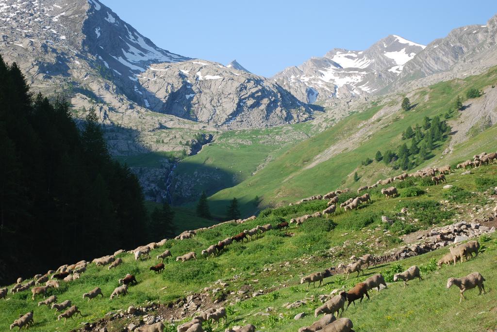 Le Clos Du Berger Le Sauze Zewnętrze zdjęcie